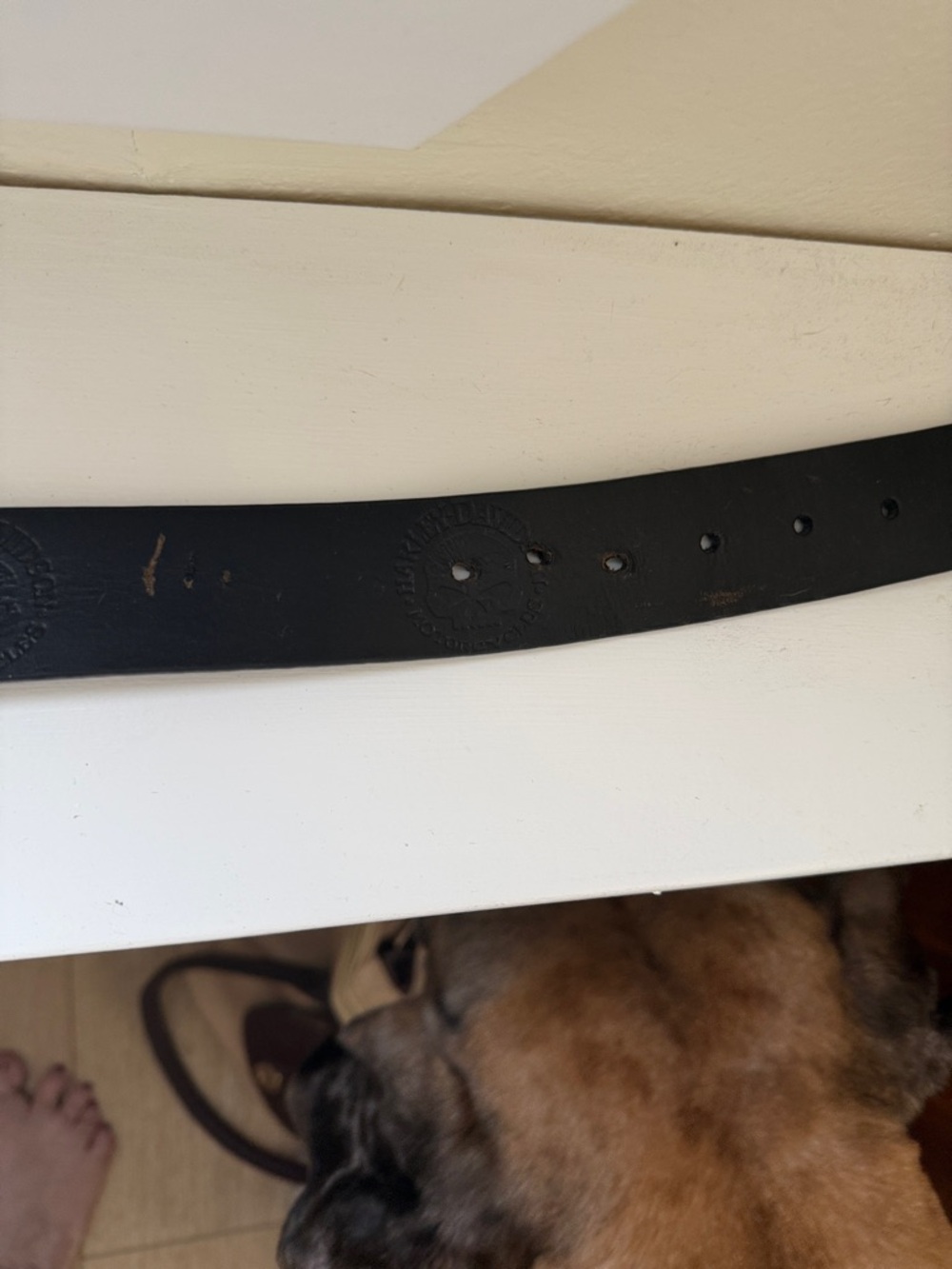 Harley-Davidson Willie G Black Leather Belt with Silver Skull Buckle - Picture 6 of 10